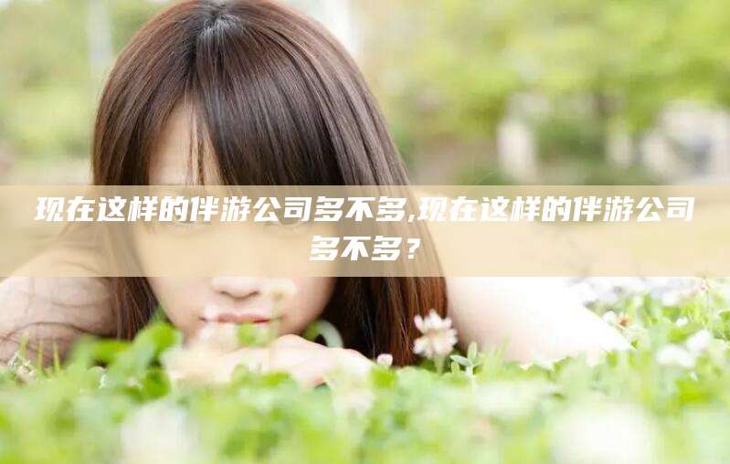 永兴现在这样的伴游公司多不多,现在这样的伴游公司多不多？
